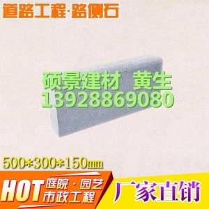 500*300*150路侧石