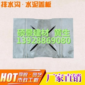 下水道漏水盖板（定制）